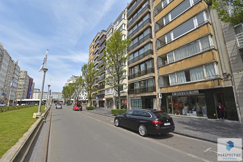 RUIM LICHTRIJK APPARTEMENT met FRONTAAL ZICHT op het LEOPOLD PARK - 1