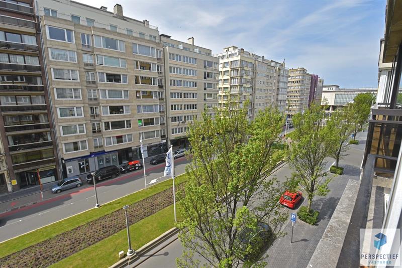 RUIM LICHTRIJK APPARTEMENT met FRONTAAL ZICHT op het LEOPOLD PARK - 2